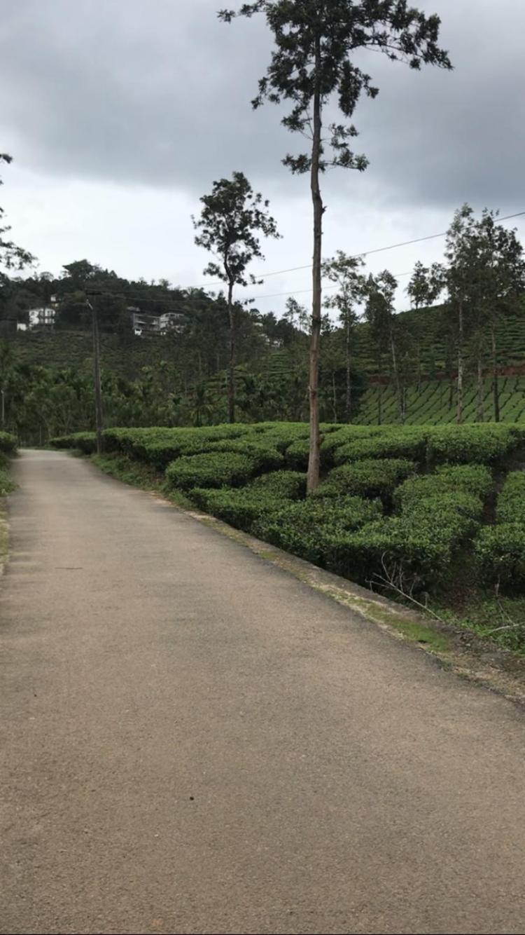 Greenfield Homestay فيثيري المظهر الخارجي الصورة